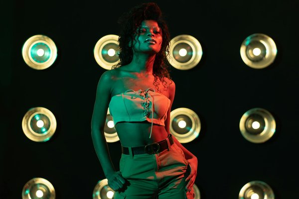 ¿Cuáles son los mejores juegos de ocupación para gatos?